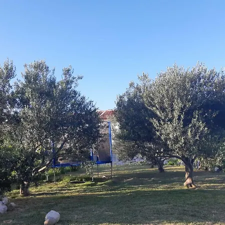 Mareta *